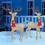 Best Outdoor Light Up Reindeer