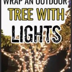 Best Way To Wrap Lights On Outdoor Trees