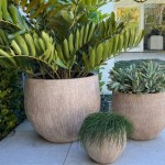 Extra Large Lightweight Outdoor Pots Brisbane