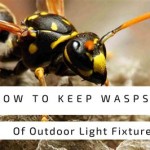 How To Keep Wasps Out Of Outdoor Light Fixtures