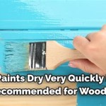 How To Seal Acrylic Paint For Outdoor Use