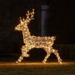 Reindeer Lights Outdoor