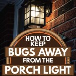 What Color Outdoor Light Doesn T Attract Bugs